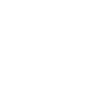 Logo 50 Jahre RRZE