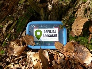 Geocache Logdose